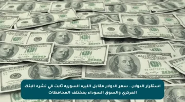 استقرار الدولار.. سعر الدولار مقابل الليرة السورية ثابت في نشرة البنك المركزي والسوق السوداء بمختلف المحافظات